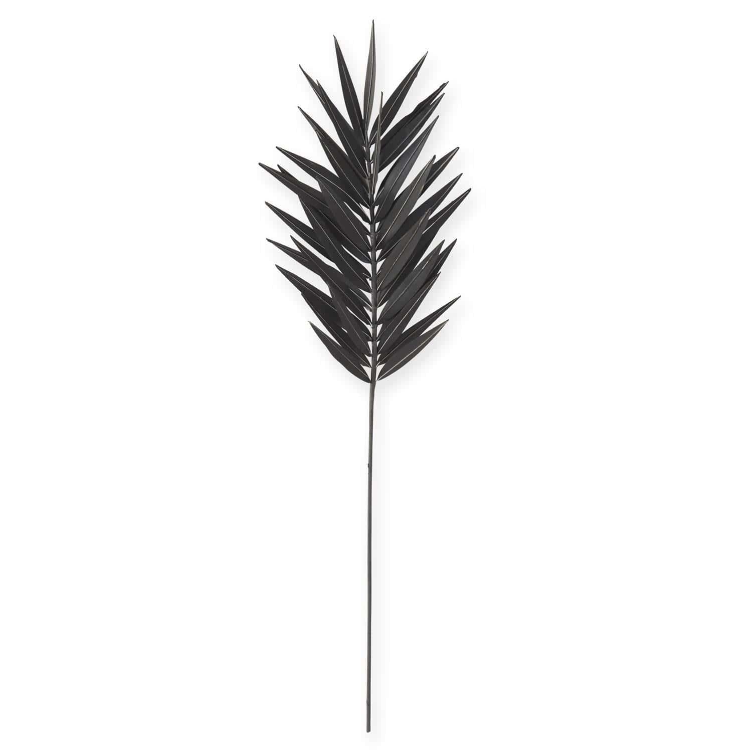 Black Palm Stem